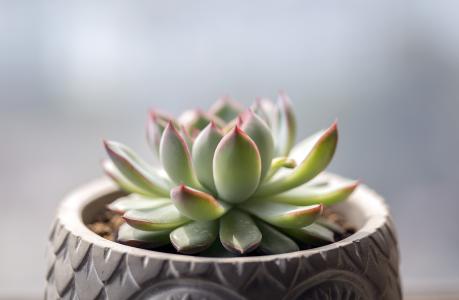 ֱΪʯҵ 㶫Ļᡰ˷硱ת